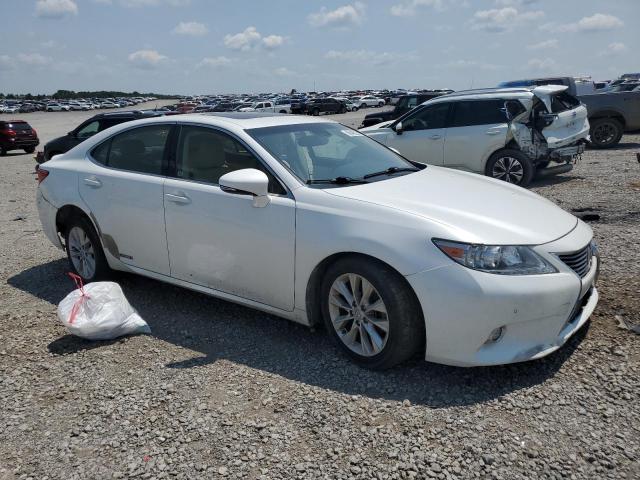 Lexus Es 300h Image 9