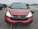 Honda Crv Se Image 9
