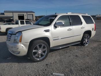  Salvage Cadillac Escalade