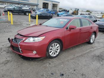  Salvage Lexus Es