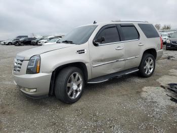  Salvage Cadillac Escalade