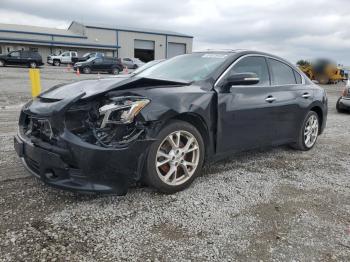  Salvage Nissan Maxima