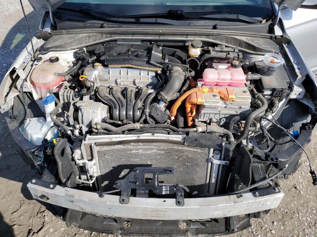 Hyundai Ioniq Limited Image 8