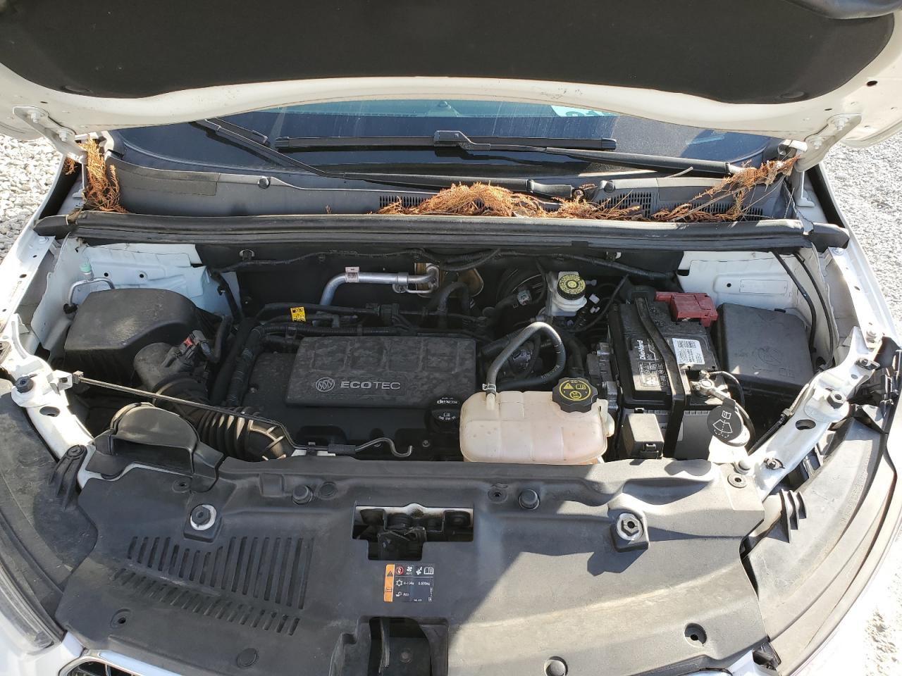 Buick Encore Preferred Image 8