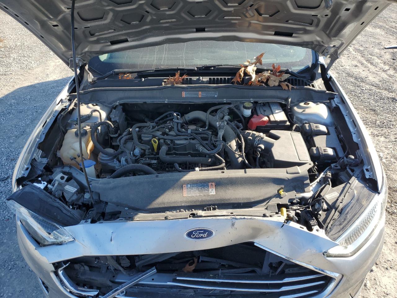Ford Fusion Sel Image 6
