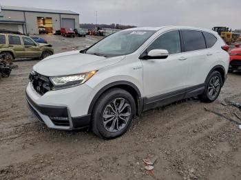  Salvage Honda Crv