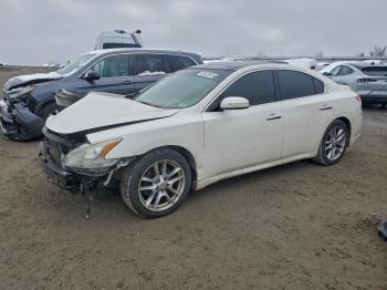  Salvage Nissan Maxima