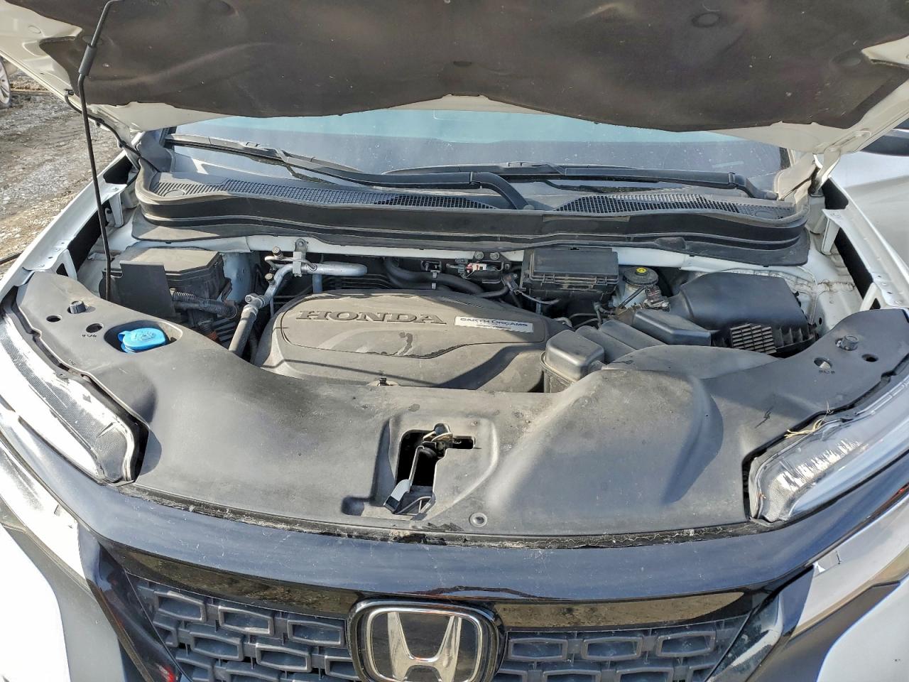 Honda Passport Touring Image 13