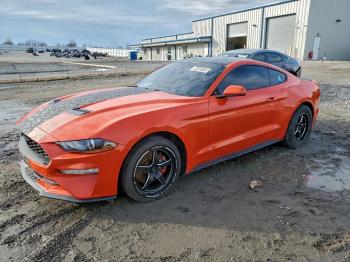  Salvage Ford Mustang