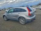 Honda Crv Exl Image 11