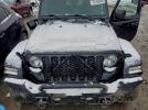 Jeep Gladiator Sport Image 3