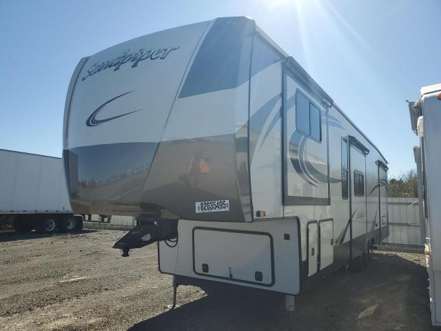 Wildwood Sandpiper Image 4